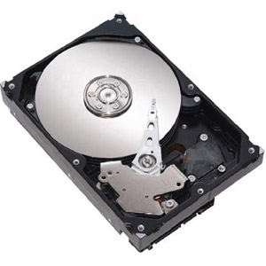 photo  DiamondMax 21 160 Go SATA II