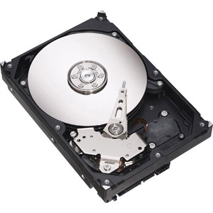 photo  Barracuda 7200.10 80 Go SATA II 8 Mo