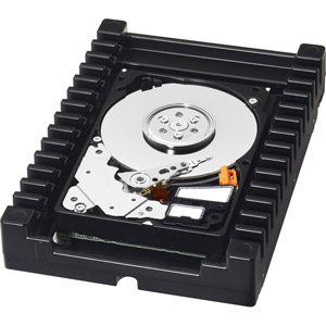 photo  VelociRaptor 300 Go SATA II