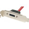 Photos  Slot Low Profile 1 port eSATA Femelle