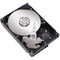 Photos  DiamondMax 21 80 Go SATA II