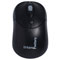 Photos Souris PC - Big Crazy Mouse