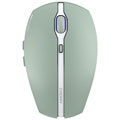 GENTIX BT - Vert agave