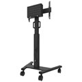 Mobile Floorstand FL50S-825BL1 - Noir