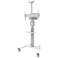 Mobile Floorstand FL50S-825BL1 - Blanc