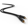 ARRAN - Câble 2 x RCA M/M - 0.6m