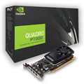 Quadro P1000 V2 LowProfile DP