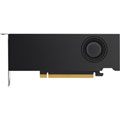 RTX A2000 12Go LowProfile OEM - 4 x Mini DP 1.4