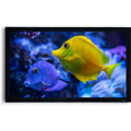 Frame HD 110