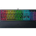 Ornata V3