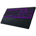 Ornata V3 TKL