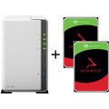 Bundle DS223J / 2x Seagate IronWolf 10To